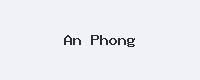 An Phong Logo Đối Tác