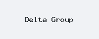 Delta Group Logo Đối Tác